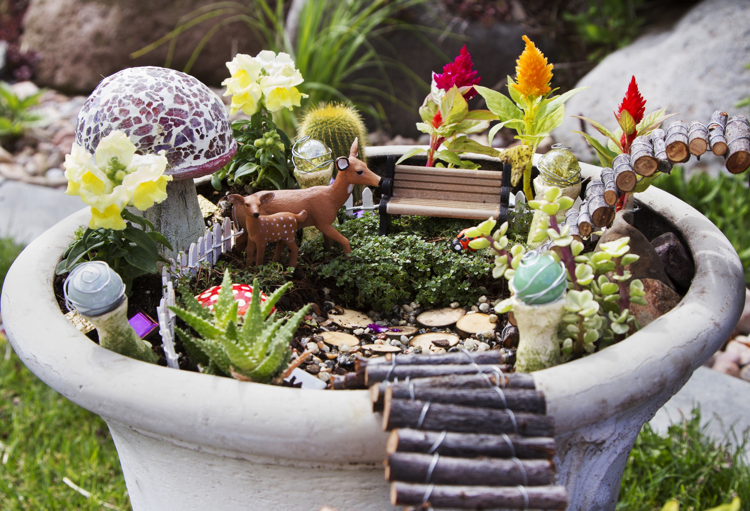 How to Make a Fairy Garden With Children - House Tipster