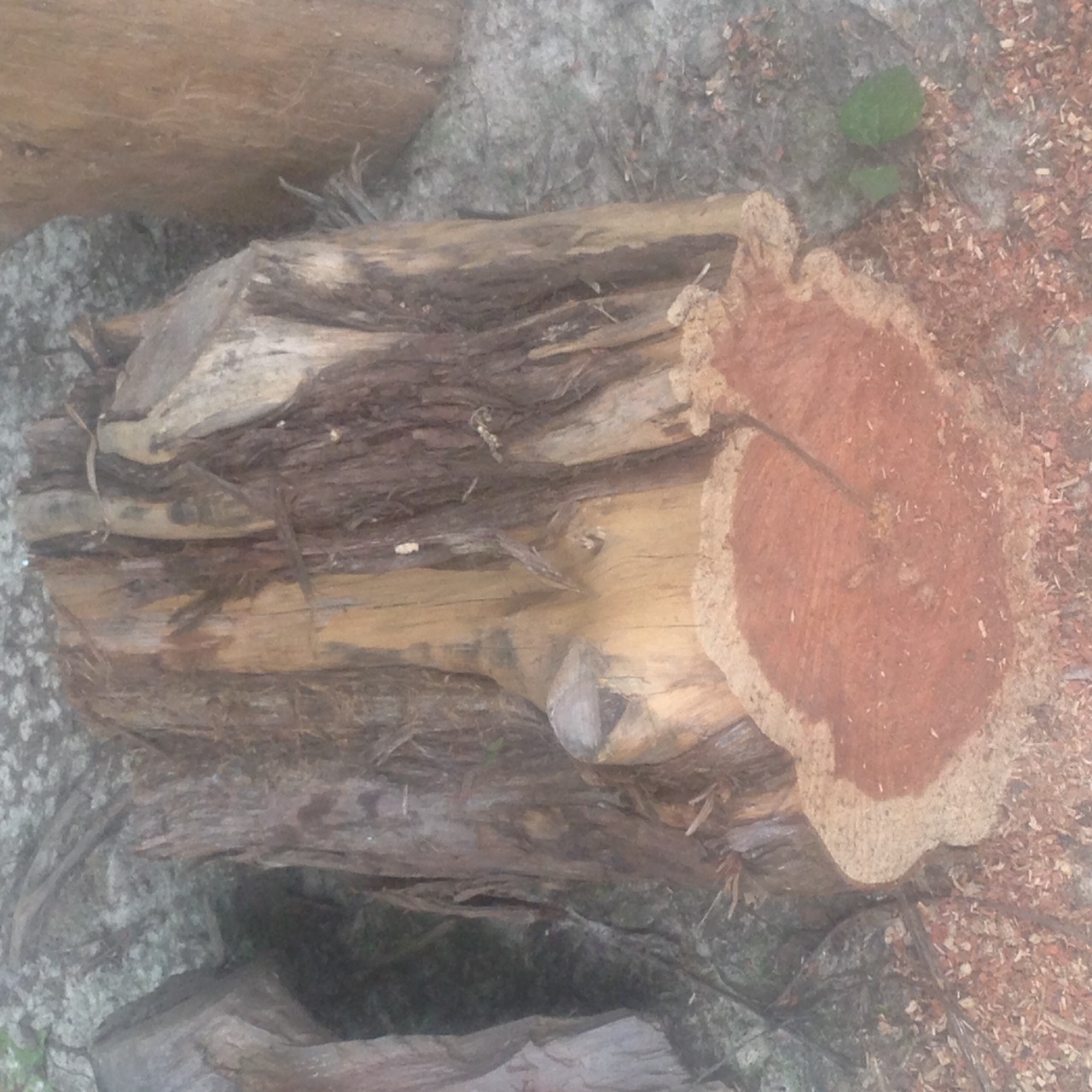 Unique Support Cedar Logs As Porch Posts House Tipster