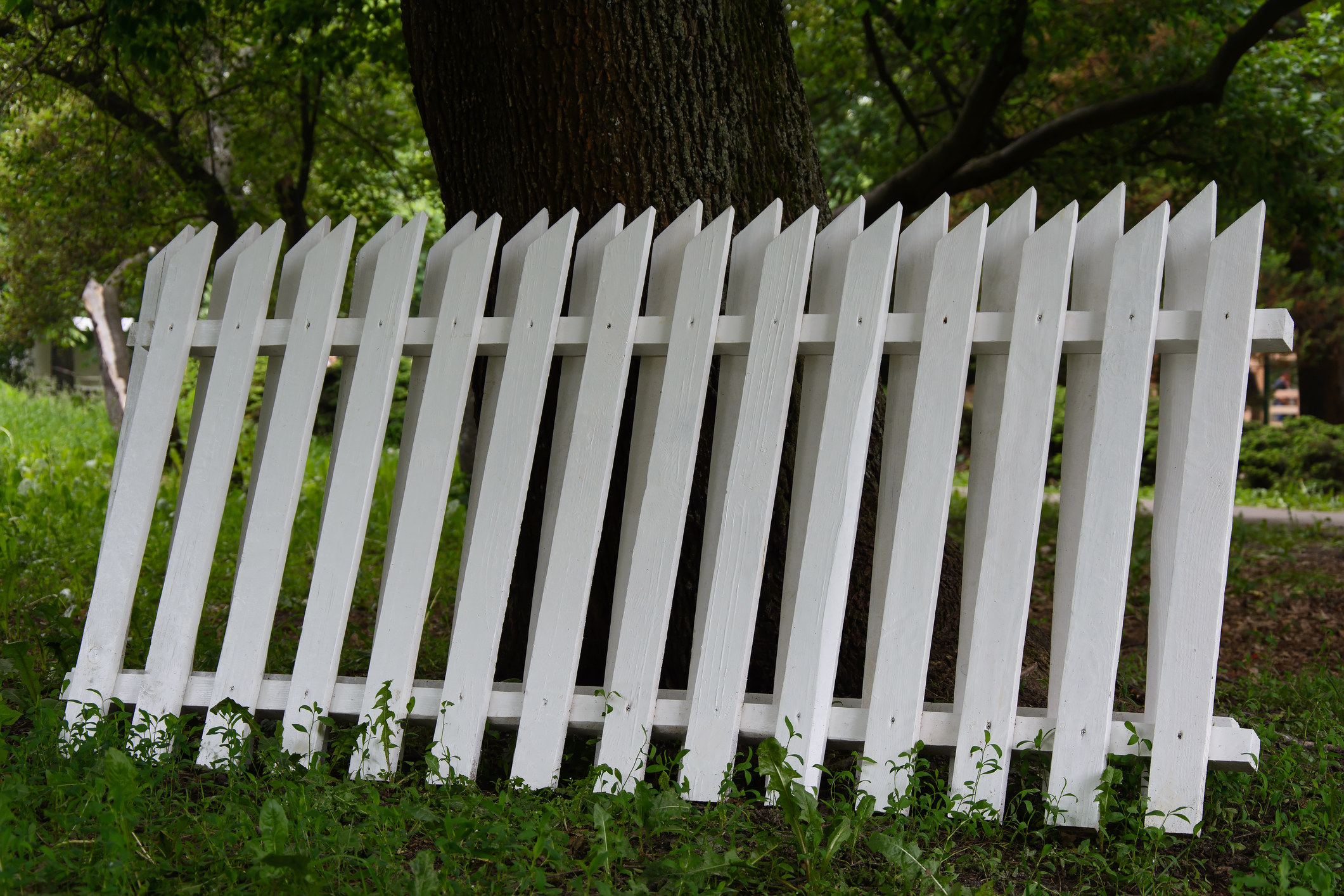 Section of the white wooden fence