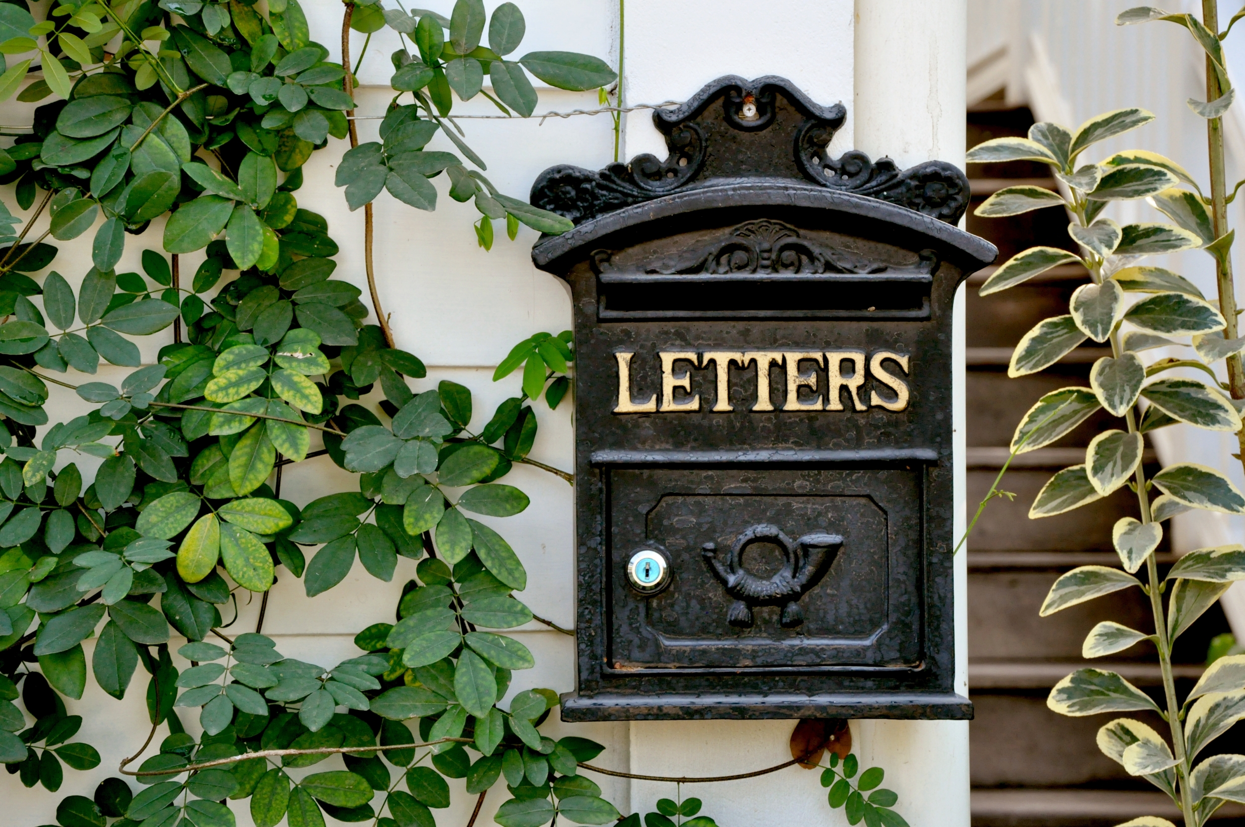 Letter box. Почтовый ящик фон. Почтовый ящик на дверь. Почтовые ящики в здании. Почтовый ящик в старинном стиле на дверь.