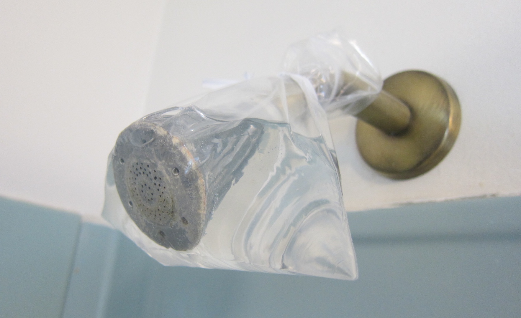 Best Way To Clean A Dirty Showerhead House Tipster
