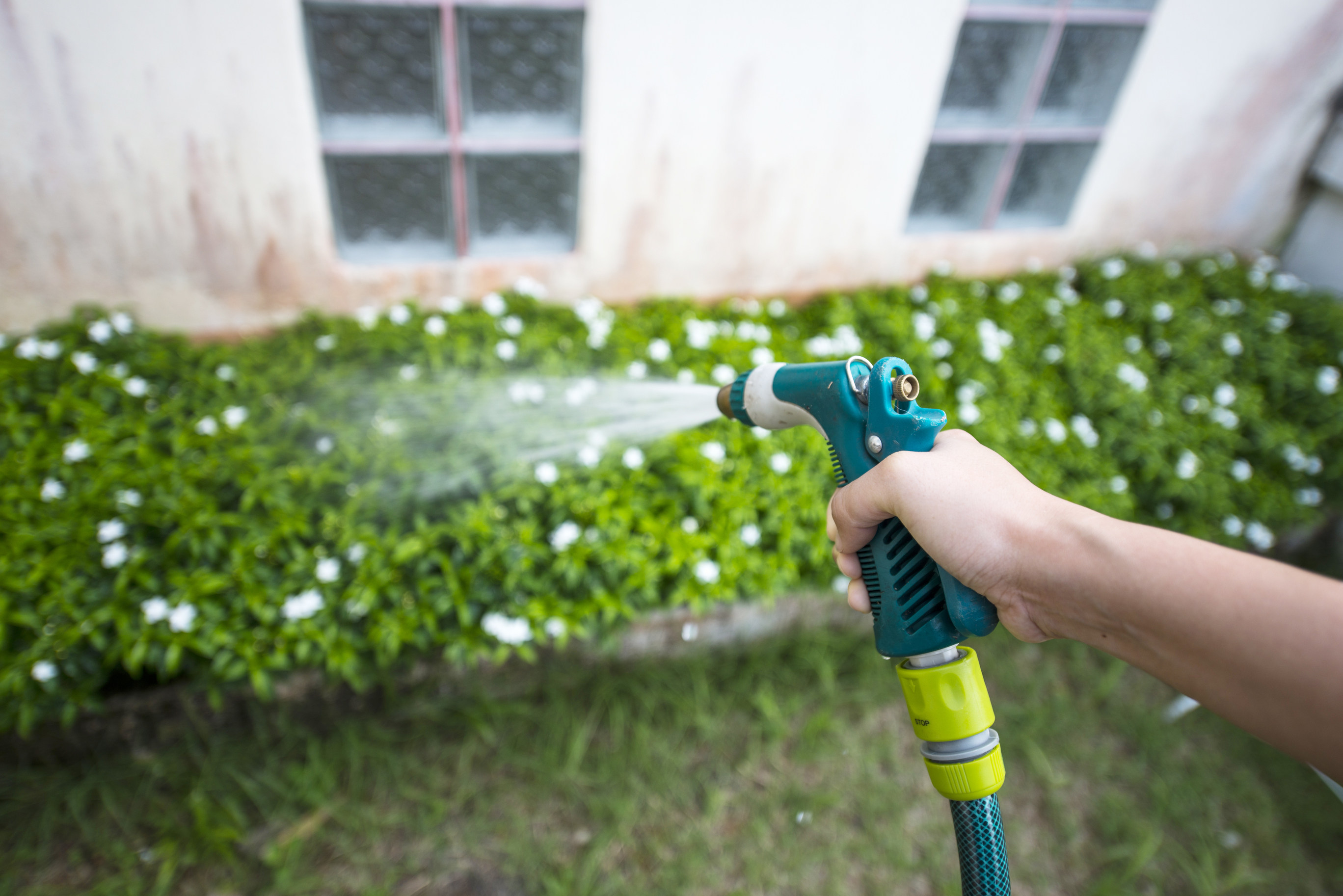 How To Fix A Broken Garden Hose Like A Pro House Tipster