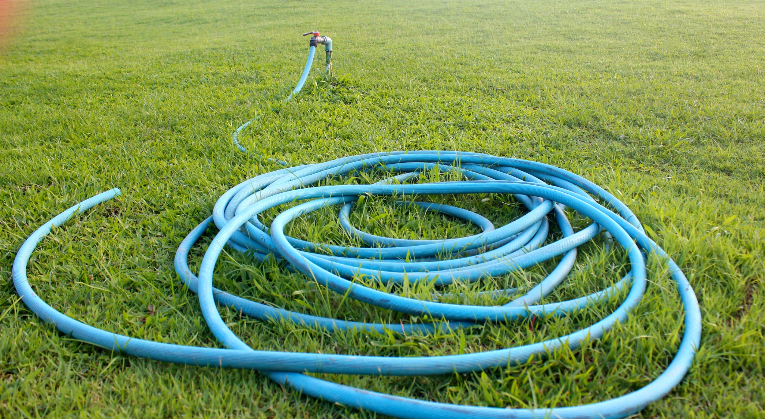 How the Best 100ft Water Hose Ensures Even Water Distribution Across G